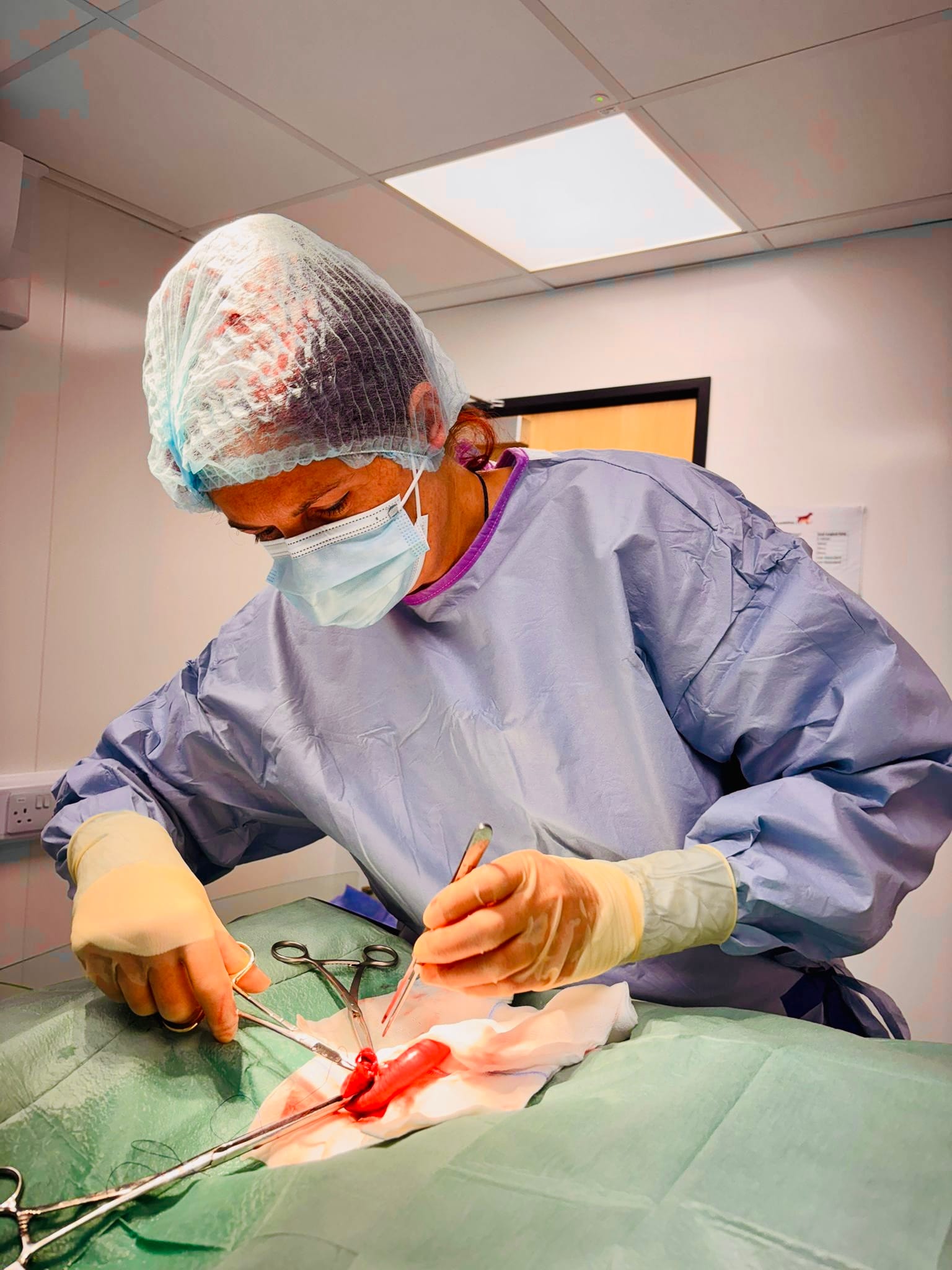 Why hard decisions in veterinary medicine don't mean you're doing it wrong