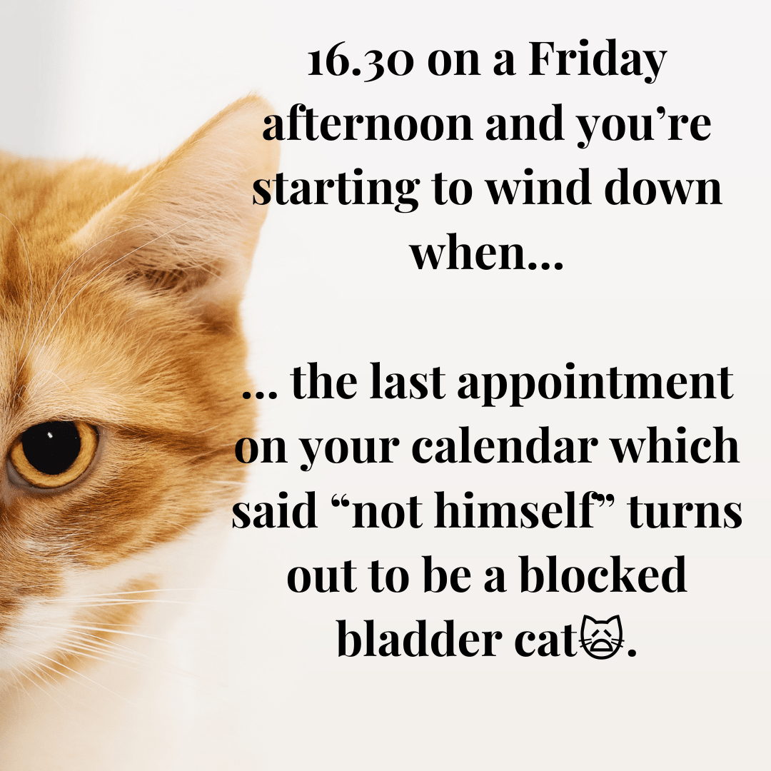 16.30 on a Friday afternoon and you’re starting to wind down when…