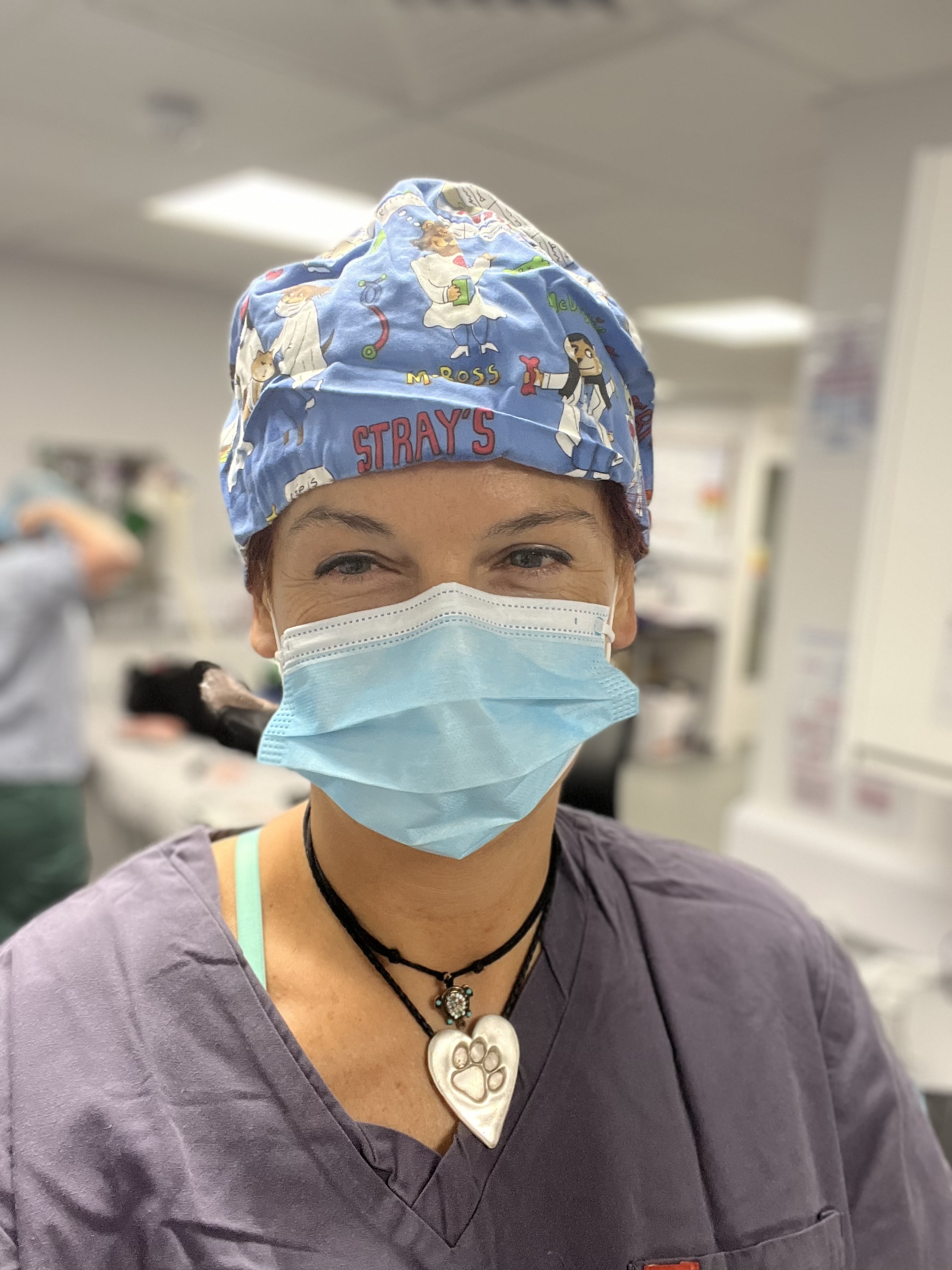 Veterinary care in action