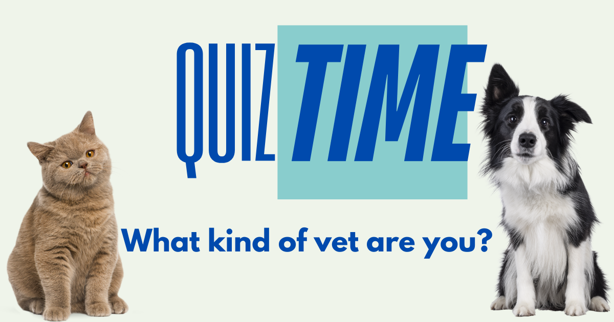 Quiz Time — What kind of vet are you?
